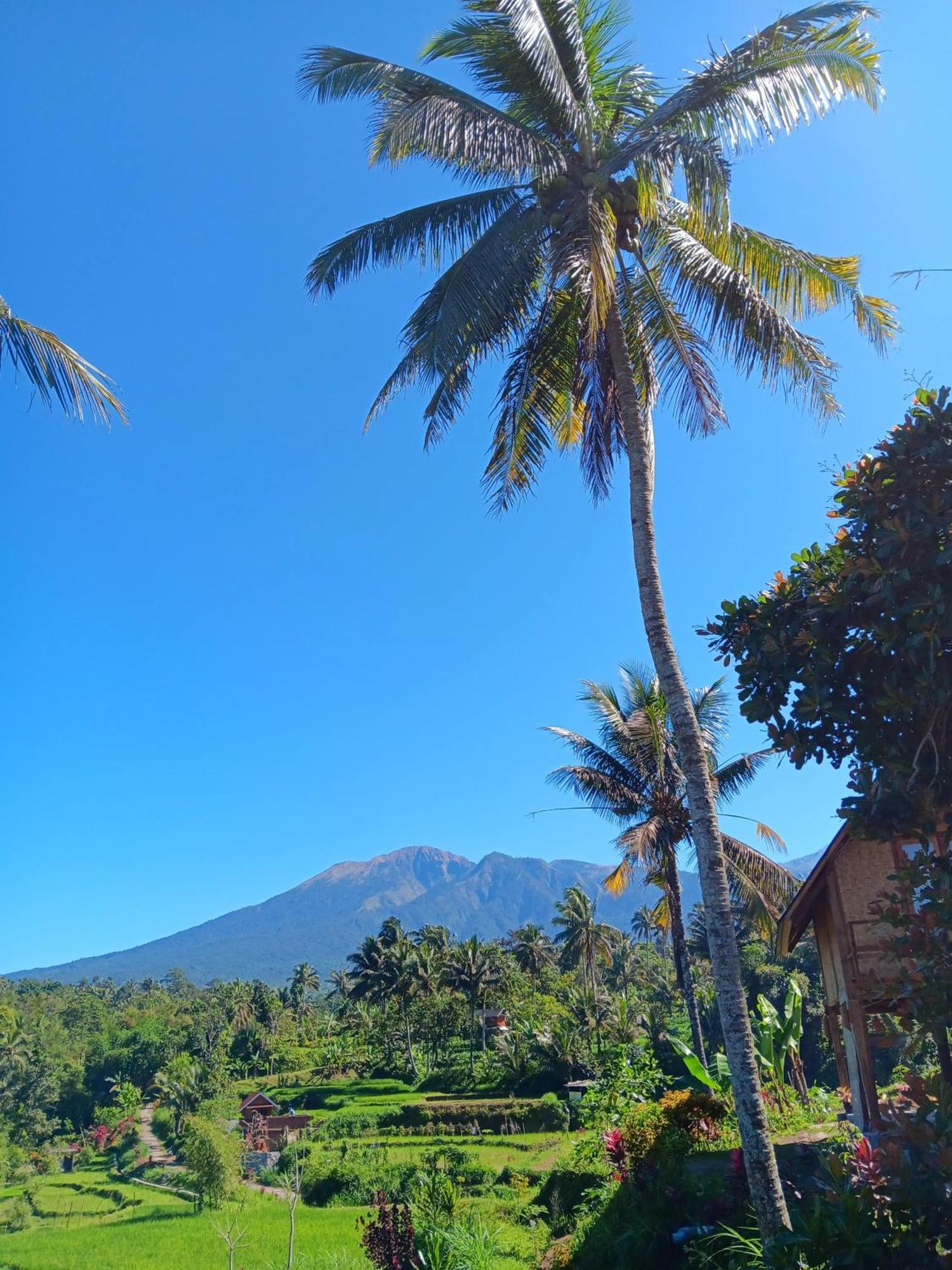 Dewi Rinjani Homestay Tetebatu Exterior photo